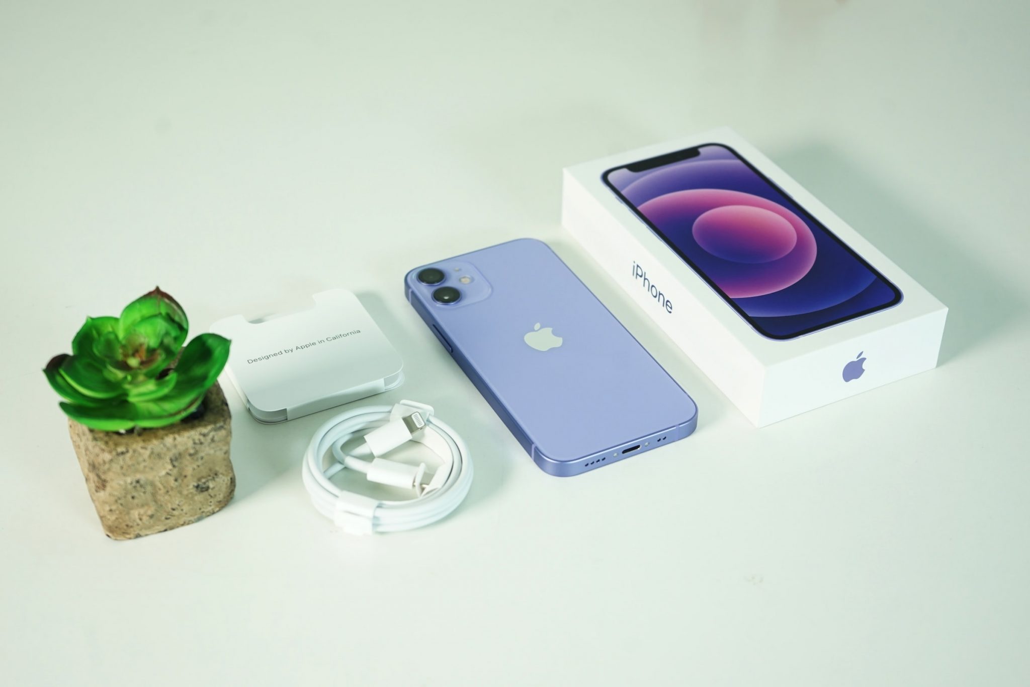 iPhone 12 mini purple and box