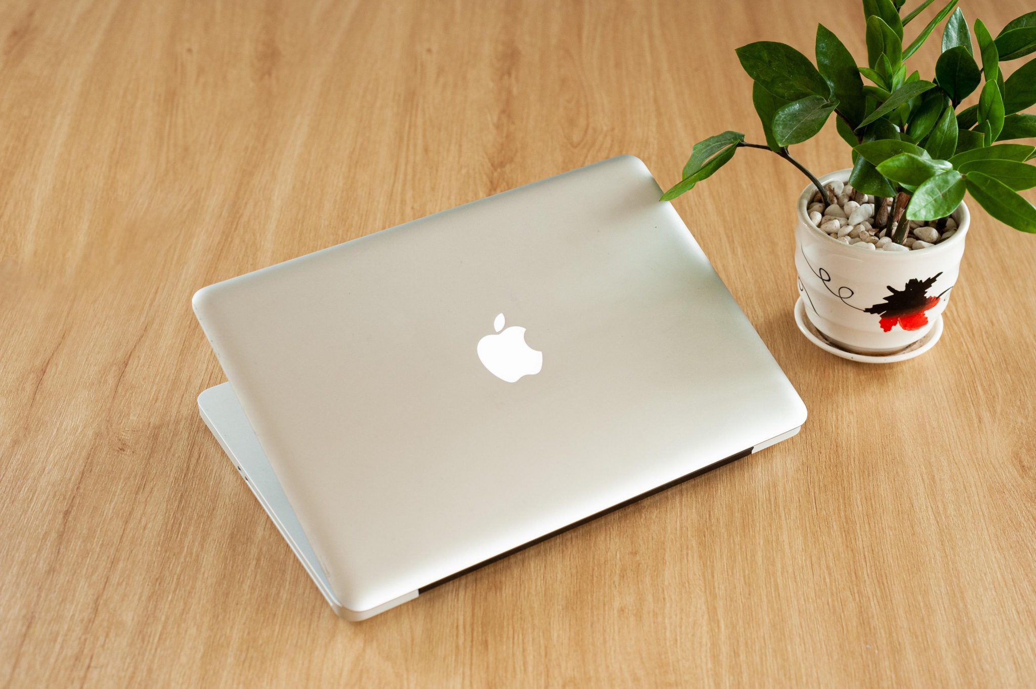 A MacBook and a plant