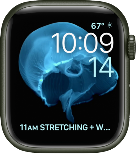 Motion Apple Watch face
