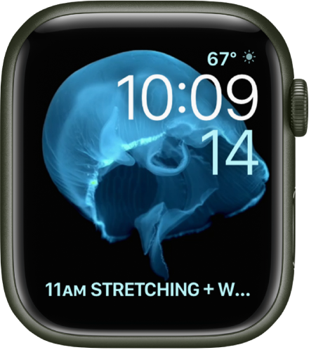 Movimiento Apple Watch esfera