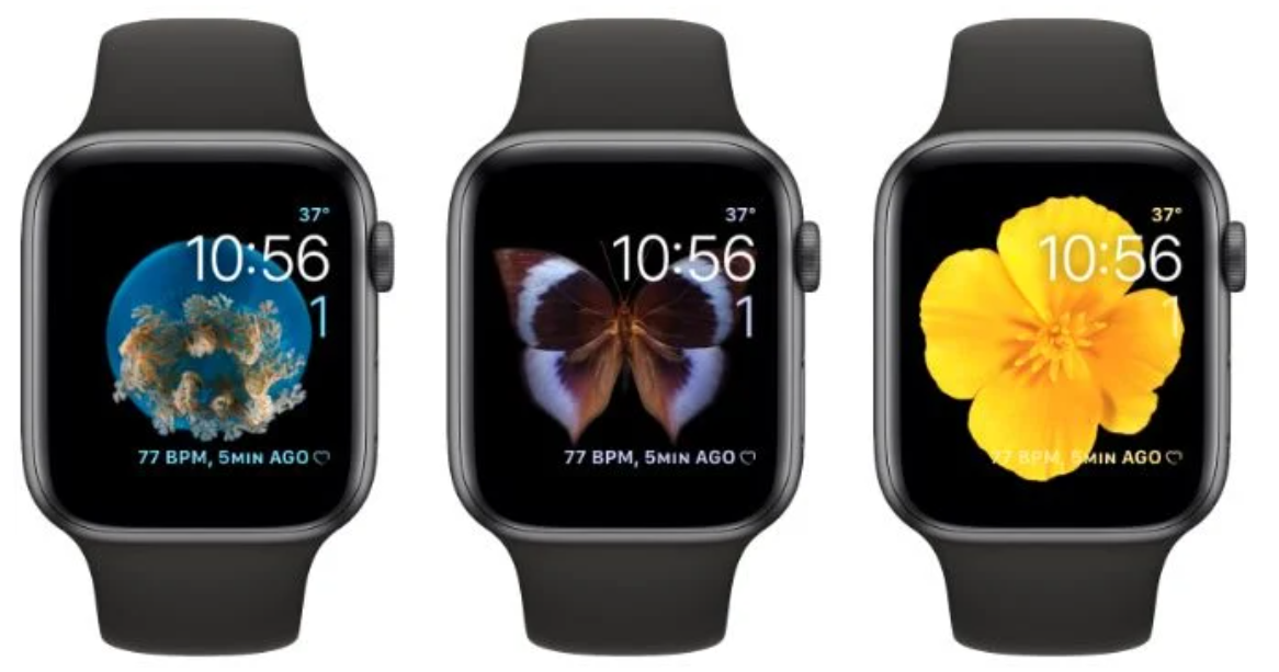 Apple Watch Motion face