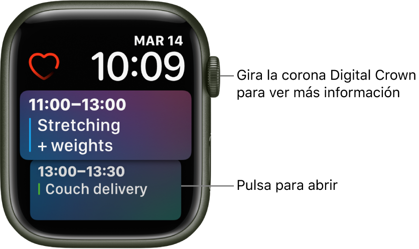 Apple Watch esfera Siri